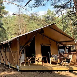 Campsite Camp Bursztynowy, Gdansk